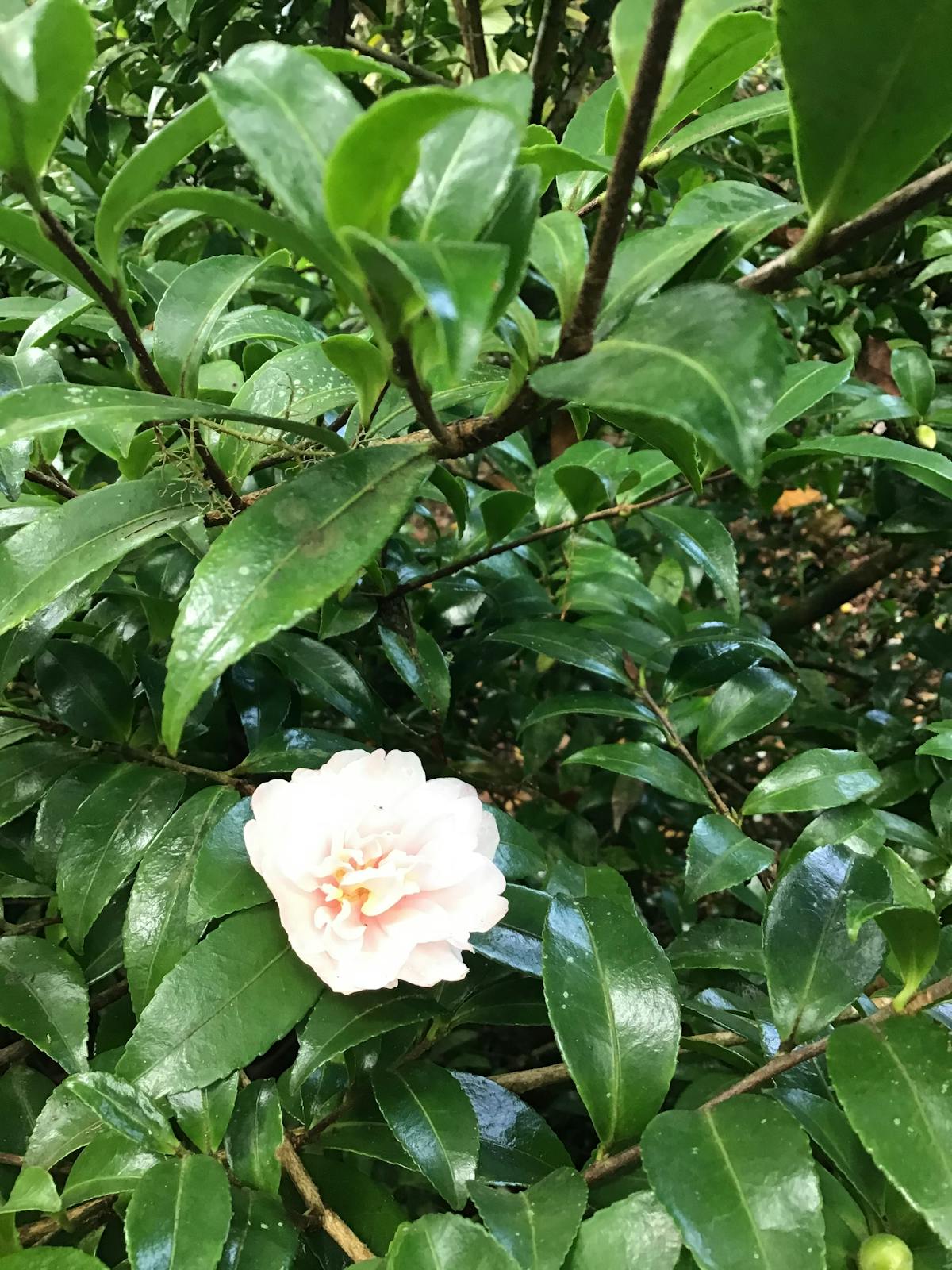 Стяжка пола — виды, технология и стоимость работ